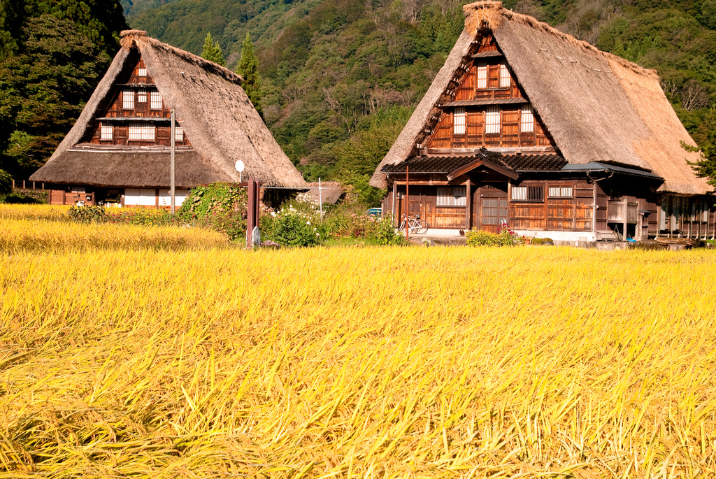 Historic Villages of Shirakawa-go and Gokayama