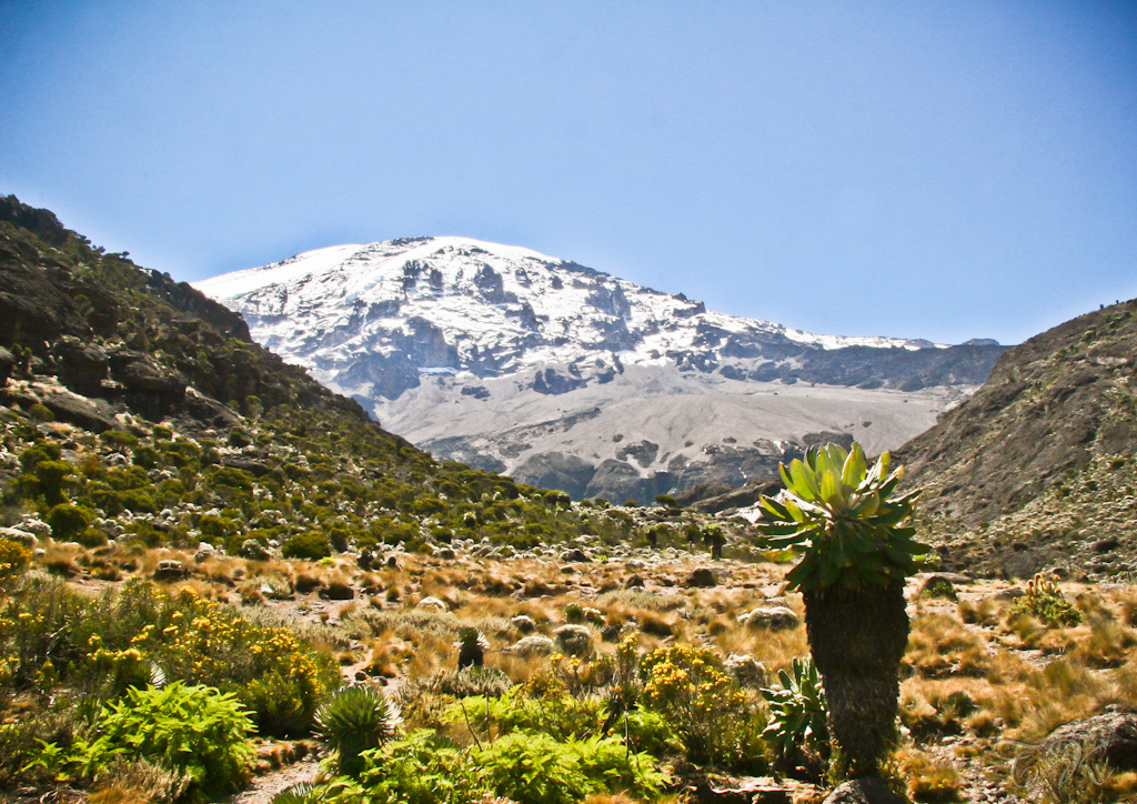 Kilimanjaro National Park