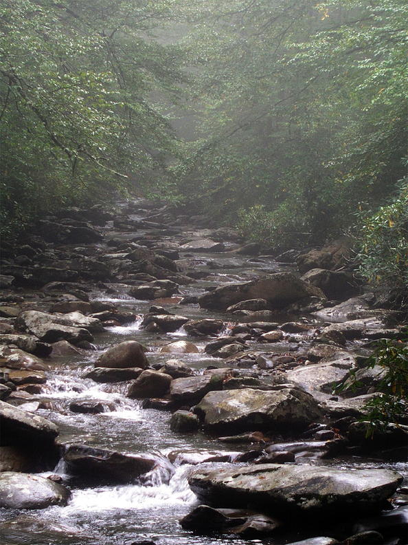 Great Smoky Mountains National Park