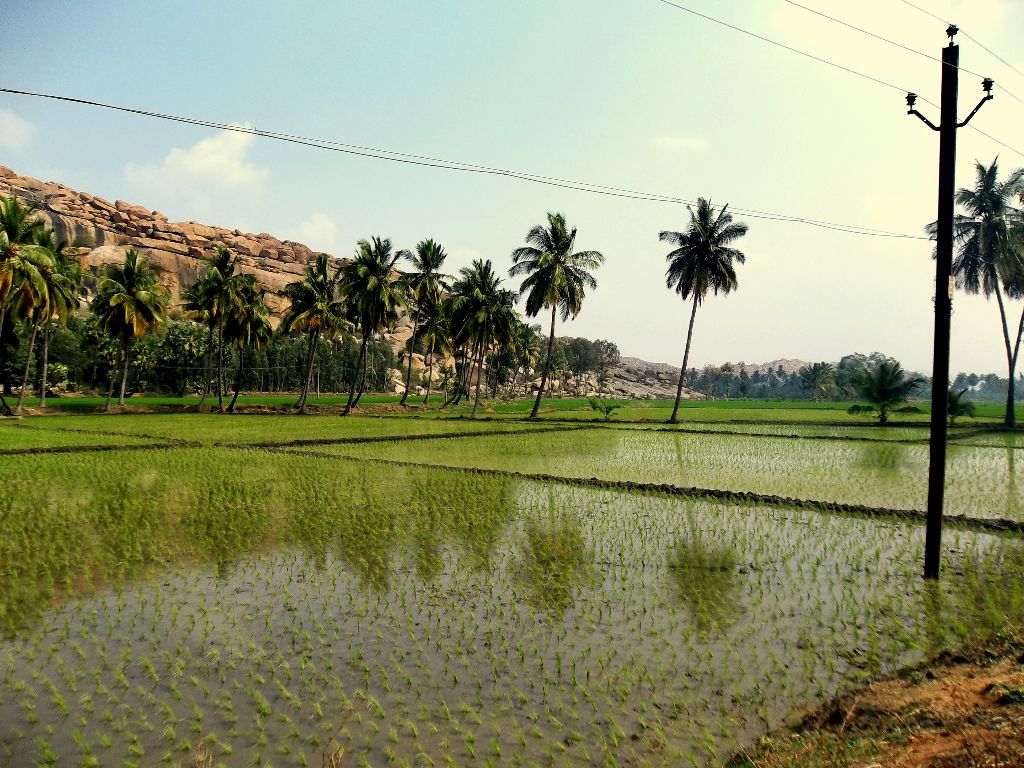 Rural Life Hampi
