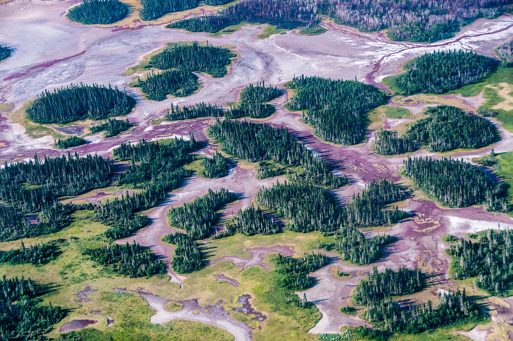 Wood Buffalo National Park - Go UNESCO GoUNESCO
