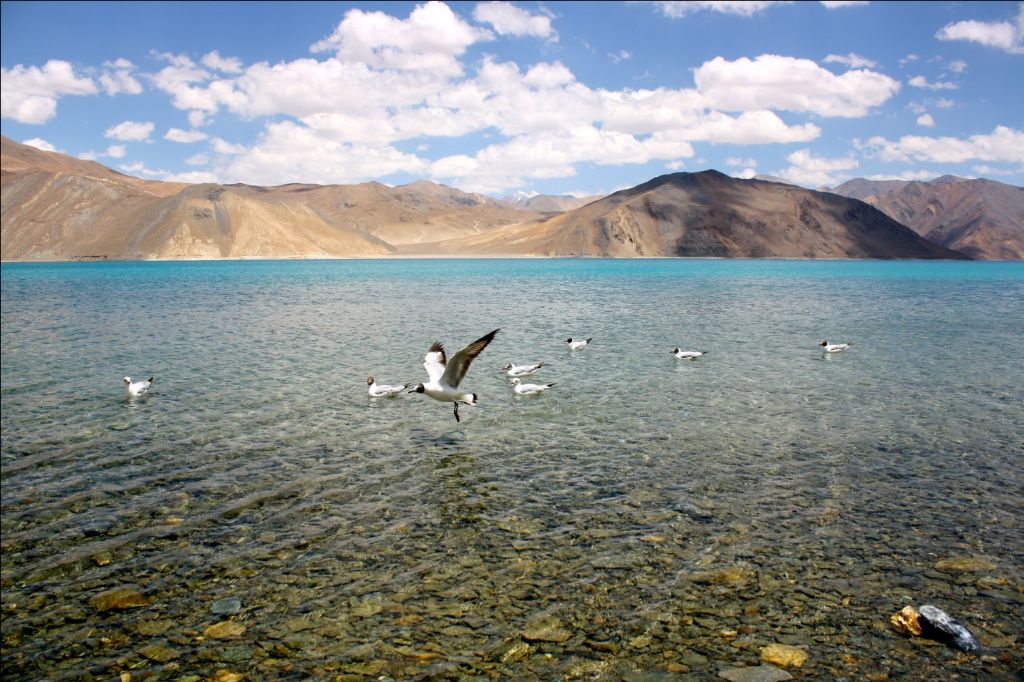 Pangong Tso