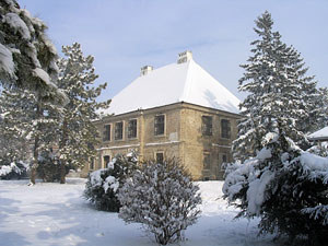 Slos in winter